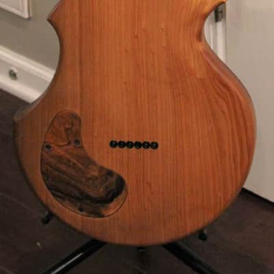 2010 Cardinal Instruments East with Lollar/Supro Lapsteel Pickup and Hard Case, Plays & Sounds GREAT image 5