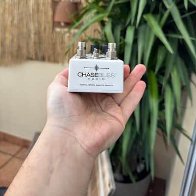 Chase Bliss Audio Condor Analog EQ/Pre/Filter 2017 - 2018 - White/Black image 6