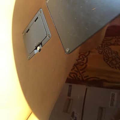 Line 6 Variax 700 acoustic natural RESERVED image 3