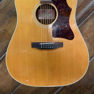 1980 Gibson J-55 Dreadnought Acoustic Guitar, Natural image 2