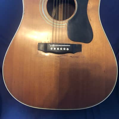 Guild D-50 1975 image 2