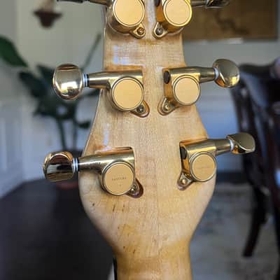 Jon Kammerer Customs Canis Major Cat's Eye 2015-ish - natural image 11