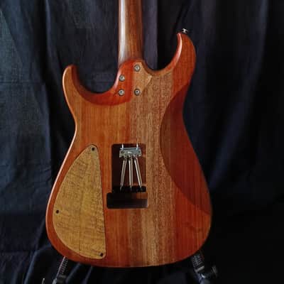 Bhakatt Double Cut 2026 - Body Polyurethanes neck oil finish, beautiful figure wood image 10
