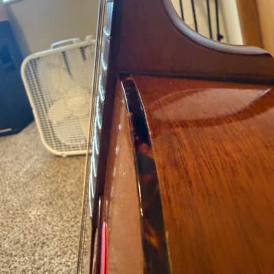 Epiphone Ft 30 caballero 1965(?) - Mahogany image 19
