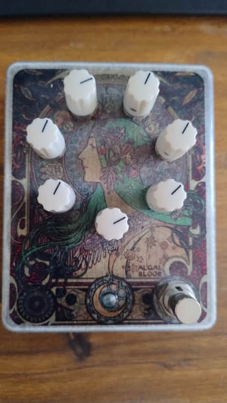 Fuzzhugger Algal Bloom