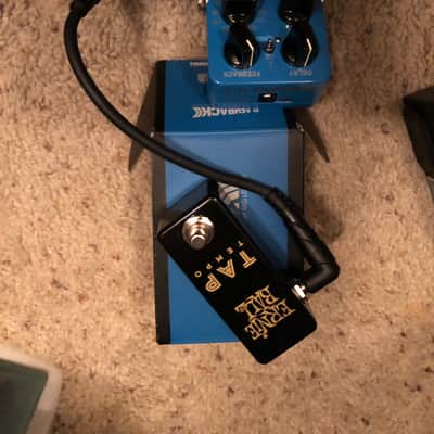 TC Electronic Flashback 2 mash Delay pedal amazing with Ernie Ball Tap Tempo new and cable image 1