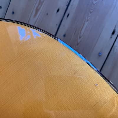Cordoba 55FCE Thinline Electro Classical Acoustic Guitar Made in Spain 2006 image 23