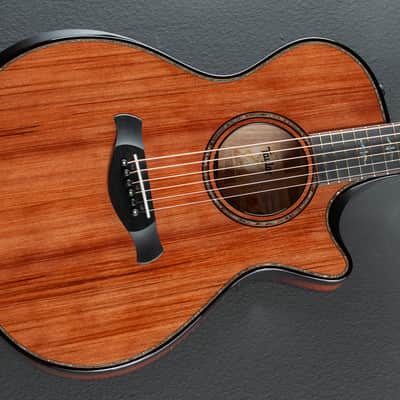 Taylor Builder's Edition 912CE Honduran Rosewood image 1