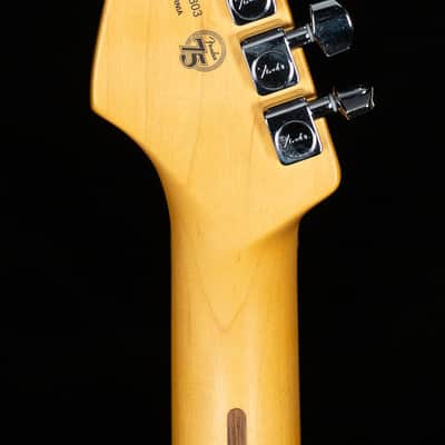 Fender American Professional II Stratocaster Roasted Pine Rosewood Fingerboard (803) image 6