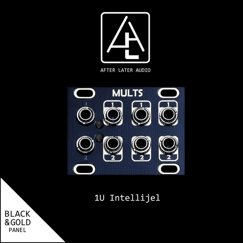 AFTER LATER AUDIO MULT 1U : BRAND NEW :  [DETROIT MODULAR] image 1
