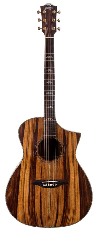 Bromo BAR 4GCE All-Solid Acoustic / Electric Guitar image 1