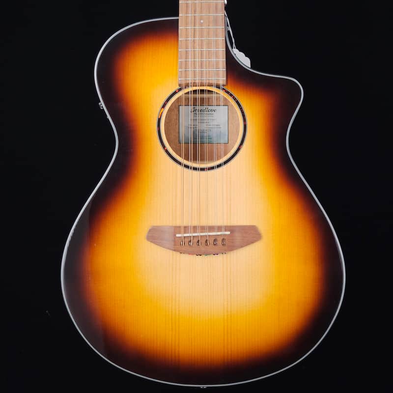 Breedlove ECO Discovery S Concert CE 12-string Acoustic-electric Guitar - Edgeburst - NEW image 1