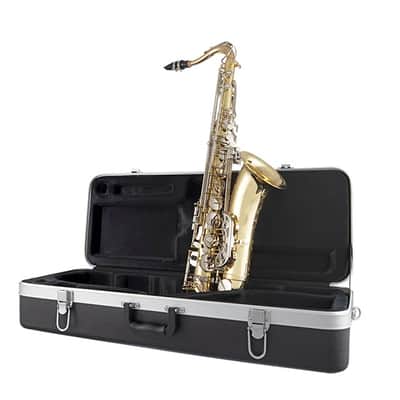 Selmer STS301 Premium Student Tenor Sax Outfit image 2