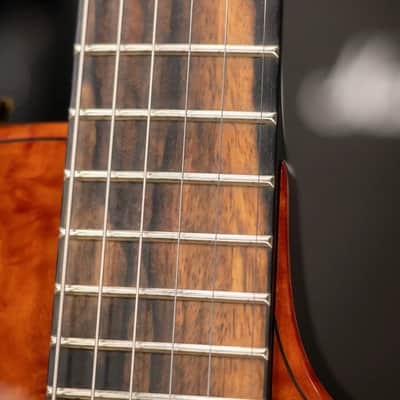 Taylor Custom Shop T5z Custom #C0960 Figured Ironbark/Shamel Ash Hollow Body Electric Guitar with Hardshell Case image 8