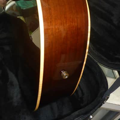 Alvarez AGW77CEAR Acoustic/Electric w/Case : Crowned & Dressed Frets image 18