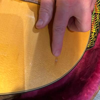 Gibson Chet Atkins CE 1994 image 13
