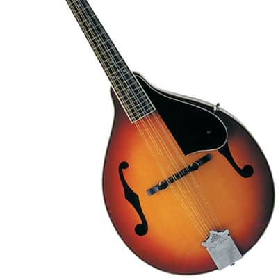 Washburn M1S Americana Series Solid Spruce Top A-Style Maple Back & Sides Mandolin - Gloss Sunburst image 1