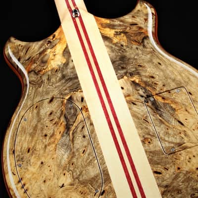 Alembic Stanley Clarke Deluxe - Buckeye Burl image 13
