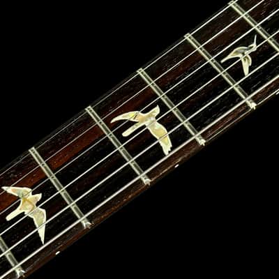 2024 Paul Reed Smith PRS DGT David Grissom Tremolo Signature 10 Top ~ Purple Iris Smoked Burst image 7