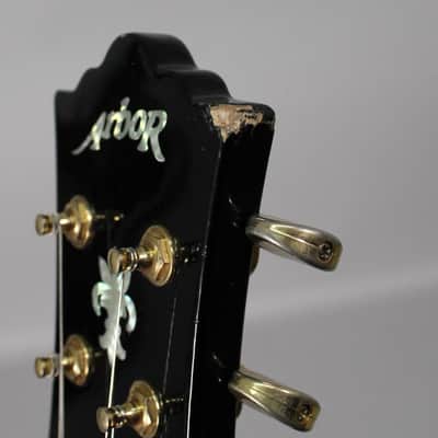 Arbor Les Paul Copy Black Gloss Finish image 19