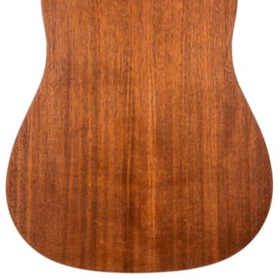 Peavey DELTA WOODS DW-2 SOLID TOP DREADNOUGHT ACOUSTIC GUITAR WITH CASE image 4