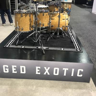 Ludwig Aged Exotic 10,12,14,16,22 drum set  2019 Tamo Ash image 4