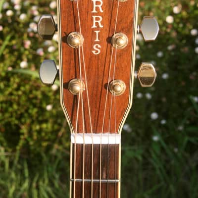 Morris TF-60 D size Guitar Jacaranda Body 1990's - Natural+Hard Case FREE image 6