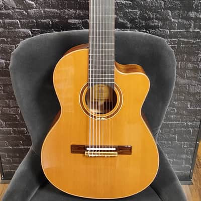 Ortega RCE 159-8 Performer Series 8-String Guitar image 1