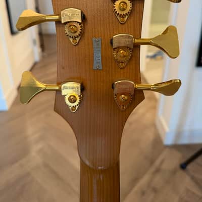 Serek Metropolis 5 String image 9
