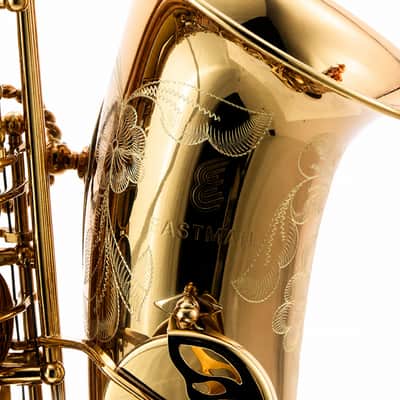 Eastman EAS850 'Rue Saint-Georges' Professional Alto Saxophone SN A2440262 image 2