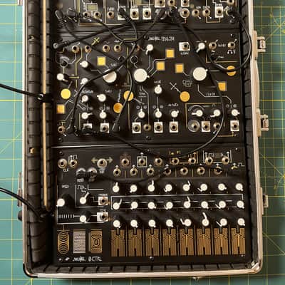 Make Noise 0-Coast + Strega + 0-CTRL Complete System in Discontinued Travel Case — Excellent image 1