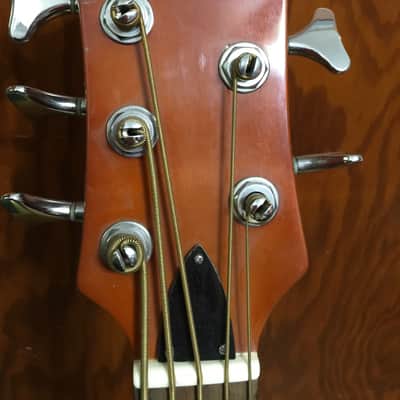 Branson 5-string fretless resonator bass - Burst image 1
