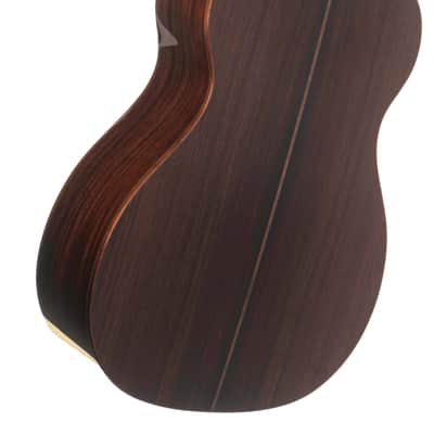 Boucher SG-51-MV Guitar #IN-1707-OMH image 11