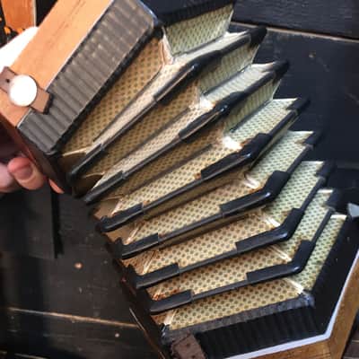 “Steel Reeds” Vintage German Concertina image 6