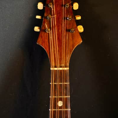 Vintage 1925 Prof. Raffaele Calaci Mandolin image 5