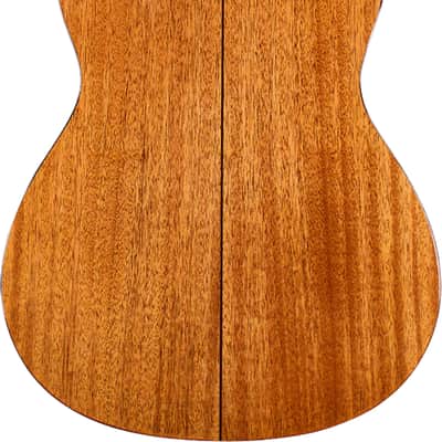 Cordoba Fusion 5 Natural Acoustic/Electric Classical Solid Top image 5