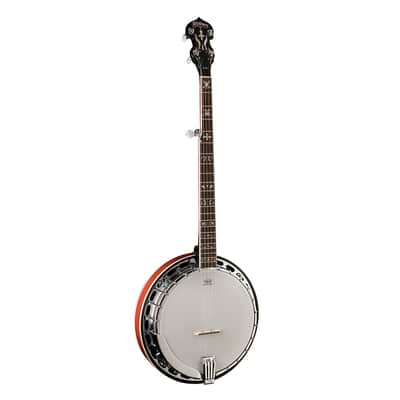 Washburn Americana Series B16K-D 5-String Banjo - Sunburst image 2