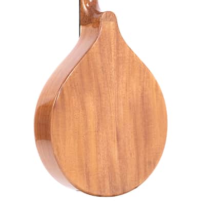 Gold Tone Mandola: Traditional Irish Mandola with Pickup & Gig Bag image 8