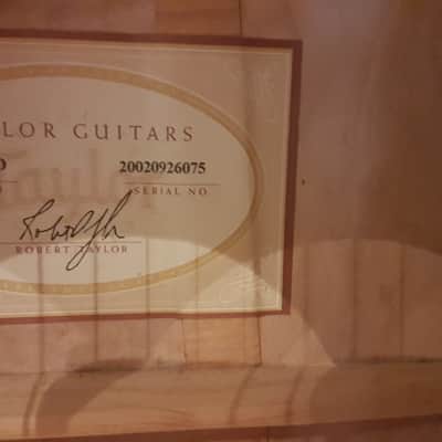 Taylor 310CE Limited Edition - Beautiful 3 Piece Back of Flamed & Quilted Maple image 12