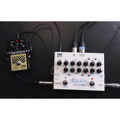 EBS STANLEY-PREAMP Préampli basse acoustique Stanley Clarke 2 canaux image 3