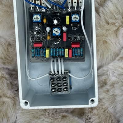 Toketone+ Benson Preamplifier Clone 2026 - White image 4