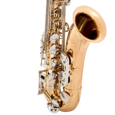 Antigua Vosi Eb Tenor Saxophone Outfit With Case image 5