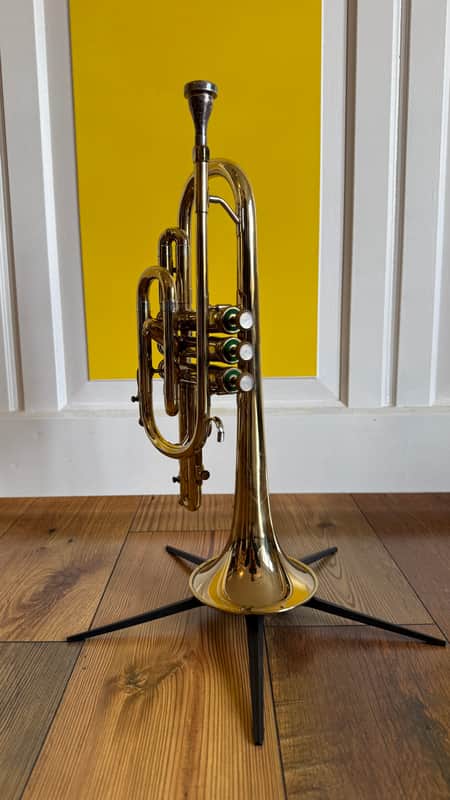 1971 Olds Ambassador Cornet in Beautiful Condition image 1