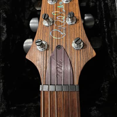 PRS Hollowbody II Piezo 20th Anniversary Artist Package image 4