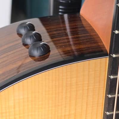 Taylor 214ce Plus 2020 - 2023 - Natural image 8