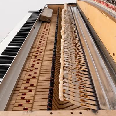 Fender Rhodes Suitcase Piano 88-Key Electric Piano 1972 - 1974 - Black Rounded Top image 23