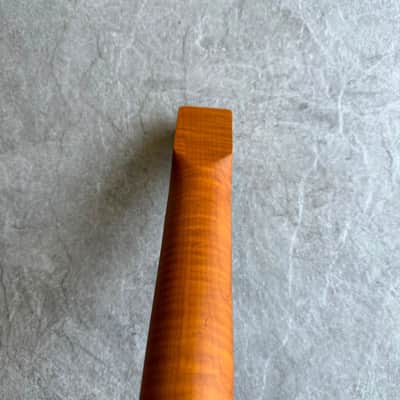 Tele Roasted Lion Flame Rosewood Neck 21 Fret, Stain Finish image 8