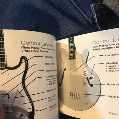 Epiphone Guitar Manual in Black & White 2003 image 10