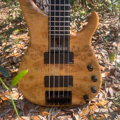 Modulus Quantum 5 2006 Burl maple image 5