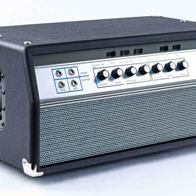 Ampeg Heritage 50th Anniversary SVT image 3